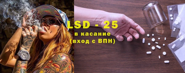 прущие грибы Верхнеуральск