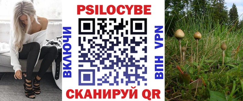 купить наркотики цена  Ачинск  мега   Псилоцибиновые грибы Cubensis 